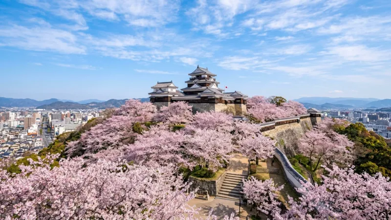 愛媛県