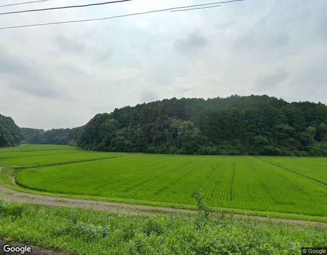 ホテル レモンツリー富里店 左側からの外観