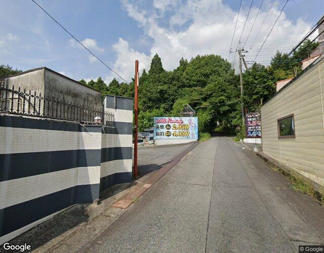 フラミンゴ 左側からの外観