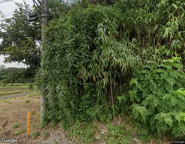 千代田 左側からの外観