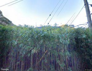水明の外観・周辺写真