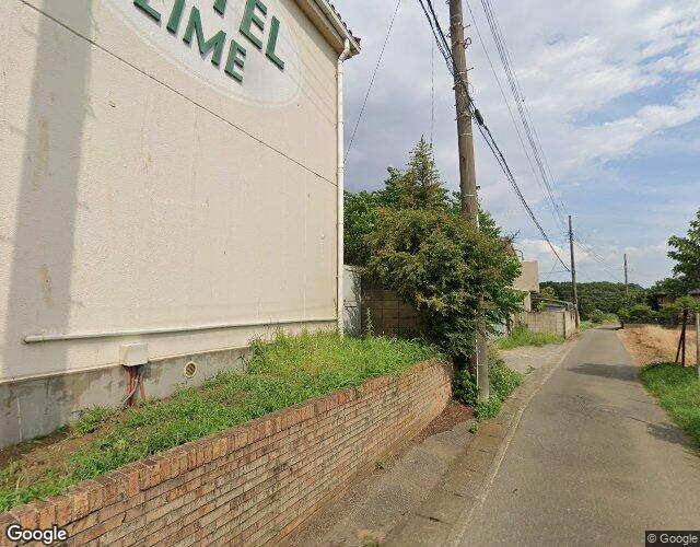 ライム 右側からの外観