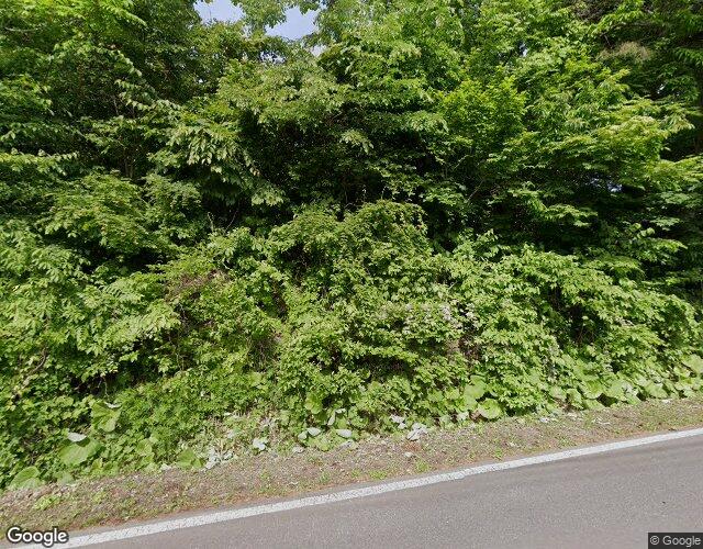 ニューパレス 左側からの外観