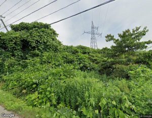 田園の外観・周辺写真
