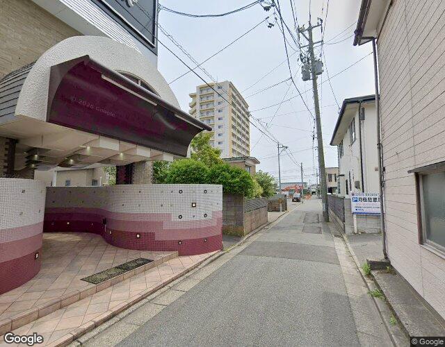 Pinkのおもち 右側からの外観