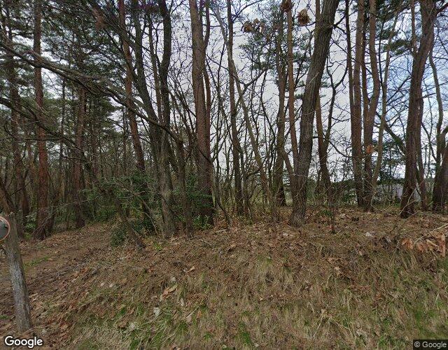 ノルウェイの森 裏側からの外観