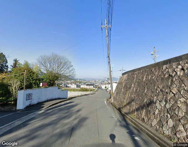 ハゼ 左側からの外観