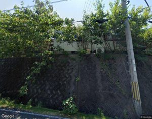 南の楽園の外観・周辺写真