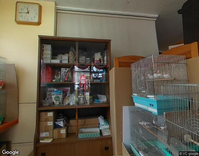 大津パル 左側からの外観