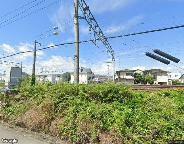 ポテト 左側からの外観