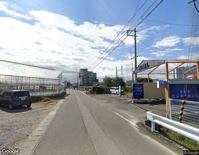コットン 裏側からの外観