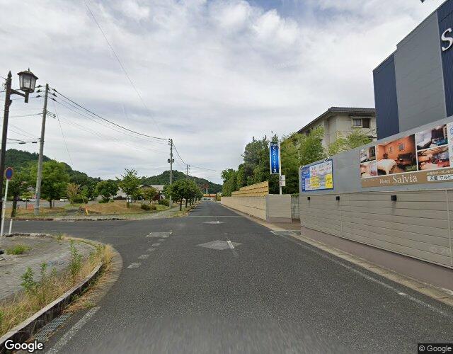 サルビア 左側からの外観