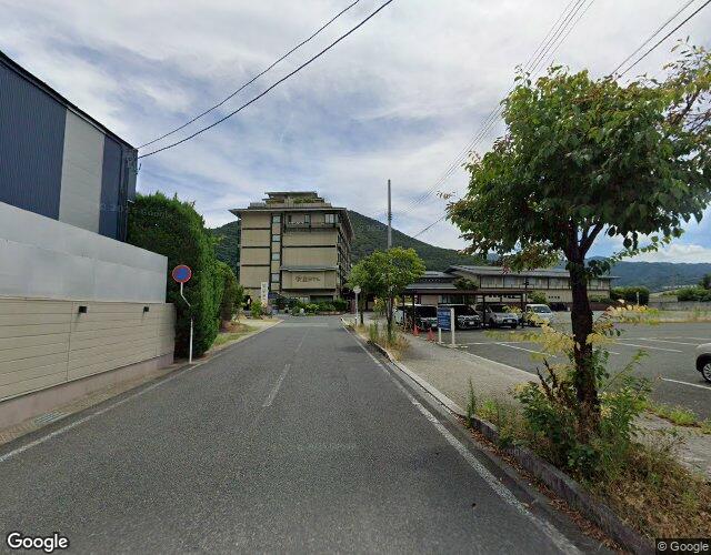 サルビア 右側からの外観