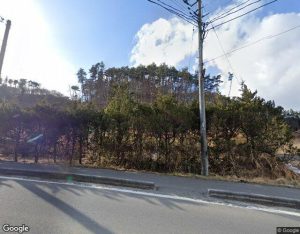 矢車の外観・周辺写真