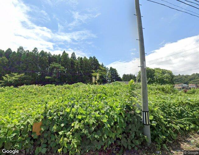 アジアの魔法 裏側からの外観