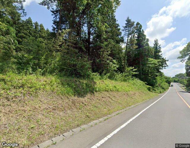 夢見るキリン 裏側からの外観