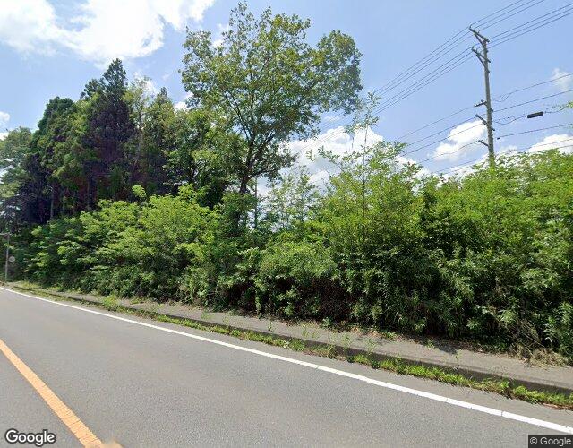夢見るキリン 左側からの外観