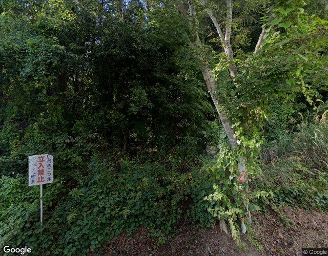 HOTEL AIR 河口湖 左側からの外観
