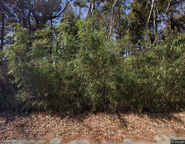 ビーパル 左側からの外観