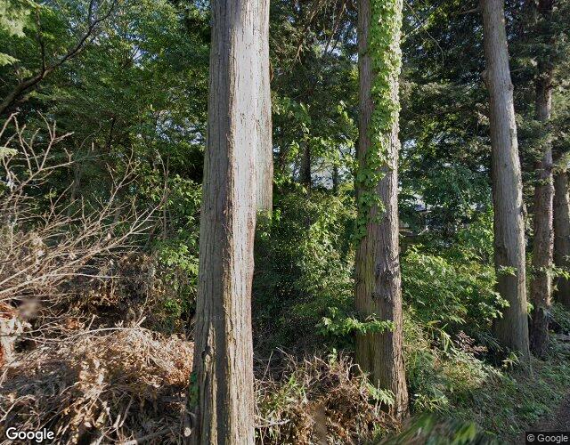 T-RESORT 裏側からの外観