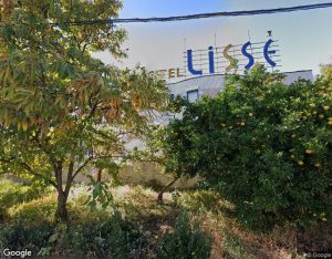 Lisse 東松山
