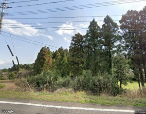 大岳の外観・周辺写真