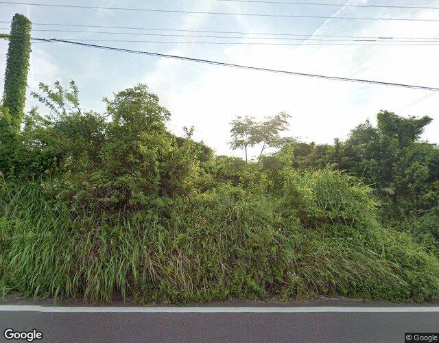 キャット 左側からの外観