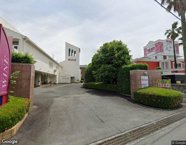 ワイン 右側からの外観