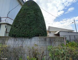 美城の外観・周辺写真