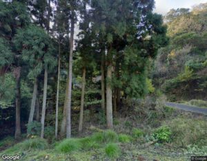 白鳥山荘の外観・周辺写真