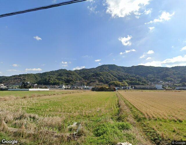 ココナッツの外観