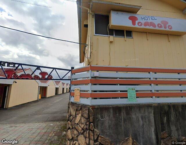 トマトの外観
