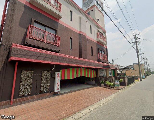 コアラの外観